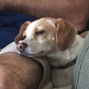 Meet your Posher, Leslie